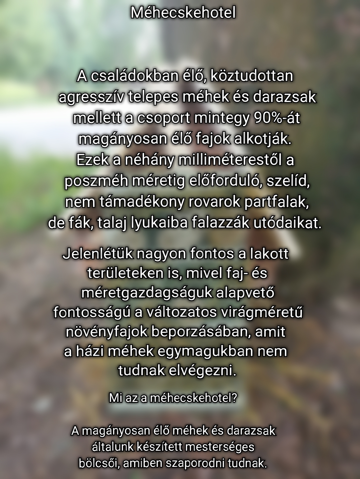 Méhecskehotel készítése